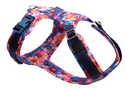 Dahlia dog harness
