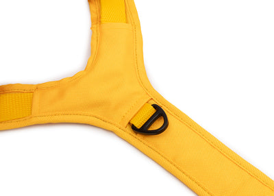 Hundegeschirr Lemonade