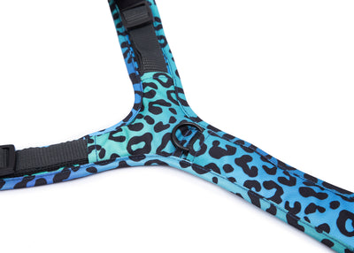 Leo Aqua dog harness