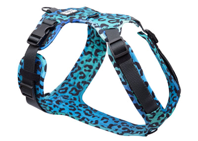 Leo Aqua dog harness
