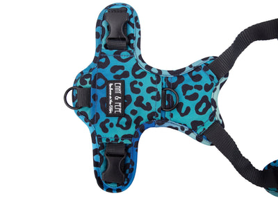 Leo Aqua dog harness