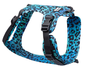 Leo Aqua dog harness