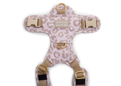 Hundegeschirr Leo Creme 2.0