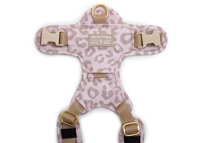Leo Cream Dog Harness 2.0