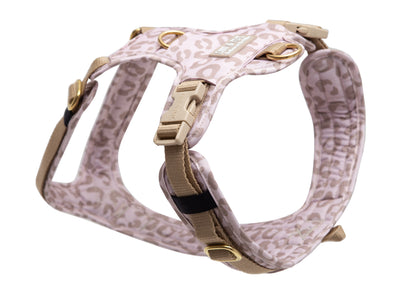 Hundegeschirr Leo Creme 2.0