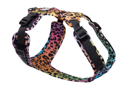 Leo Neo dog harness