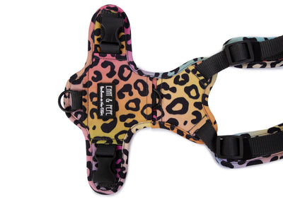 Leo Neo dog harness