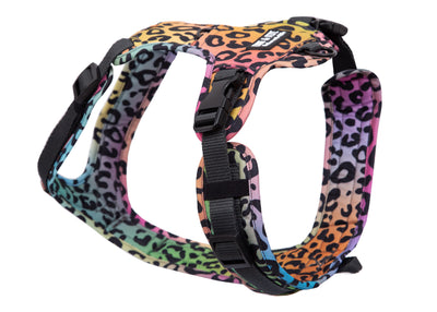 Leo Neo dog harness