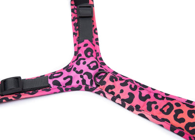 Leo Pink dog harness