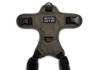 Hundegeschirr Lothar