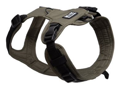 Hundegeschirr Lothar