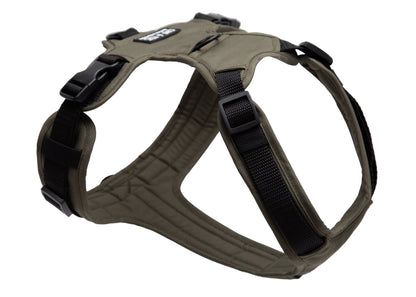 Hundegeschirr Lothar