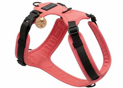 Hundegeschirr Neon Pink