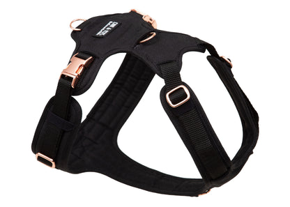 Hundegeschirr Tiffanys