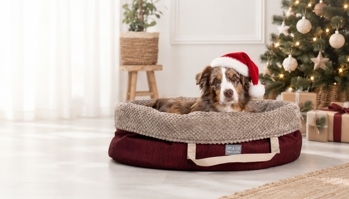 Hund im EMMY & PEPE Wau-Snuggle mit Weihnachtsmütze vor geschmücktem Tannenbaum – Hunde-Adventskalender 2026