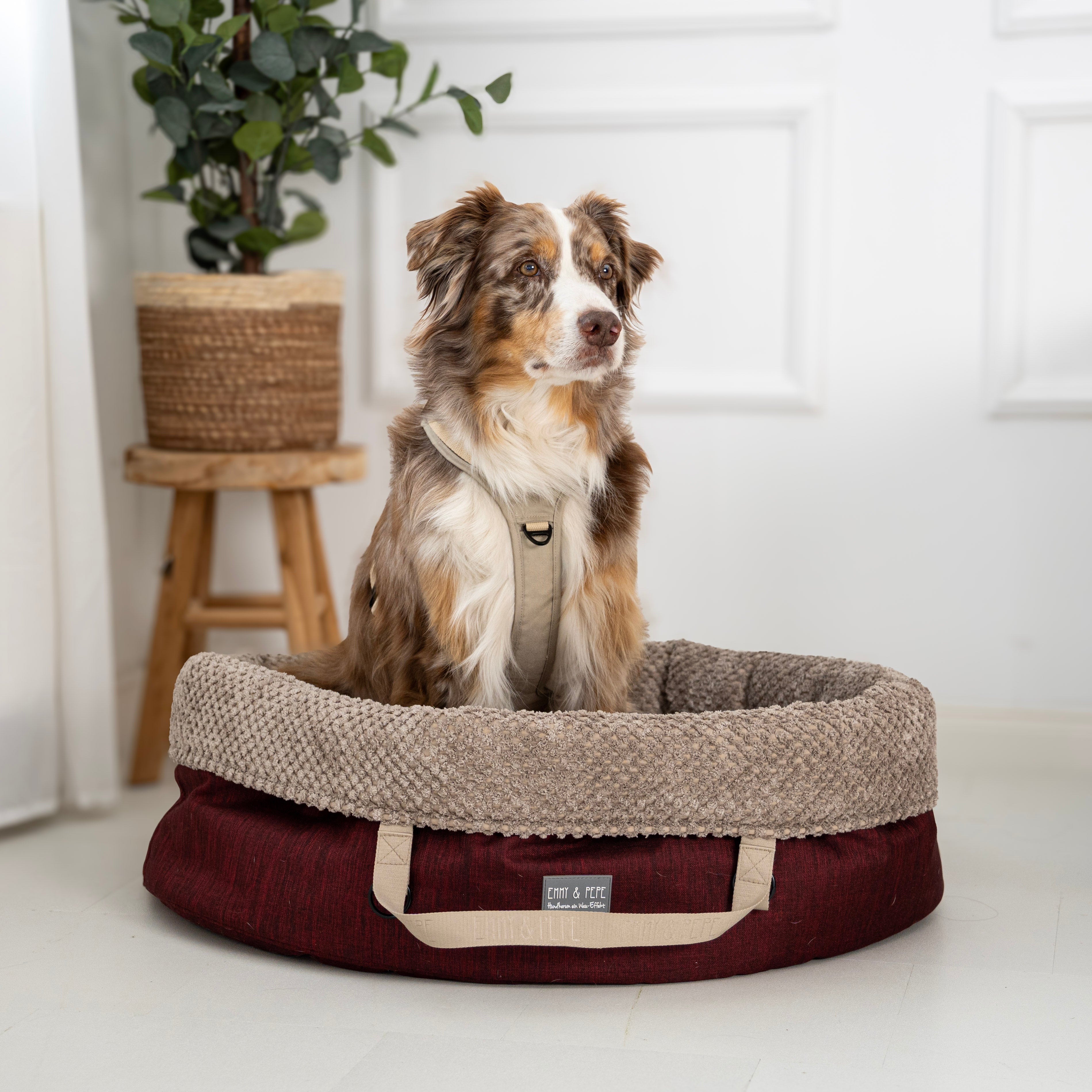 Hund sitzt im ovalen Wau-Snuggle Reisekörbchen für Hunde von EMMY & PEPE in einem hellen Wohnraum.