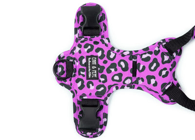 Hundegeschirr Leo Fuchsia  in verschiedenen Größen für große und kleine Hunde