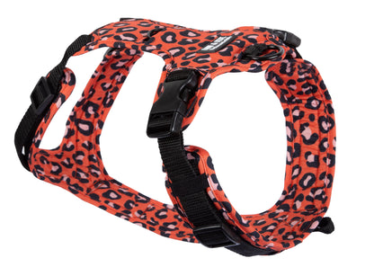 Hundegeschirr Leo Orange