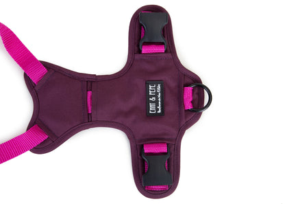 Hundegeschirr Pink Berry