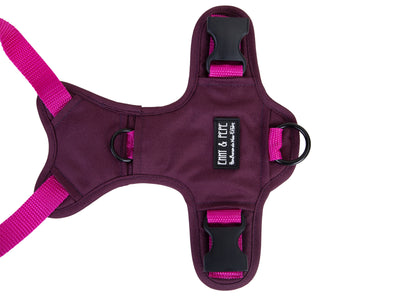 Hundegeschirr Pink Berry