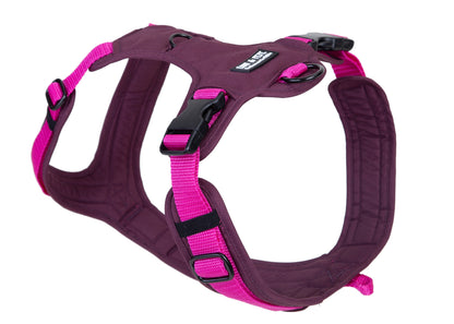 Hundegeschirr Pink Berry