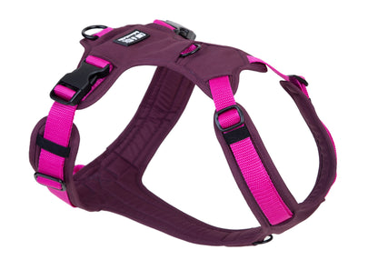 Hundegeschirr Pink Berry