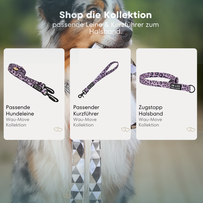 Hearth dog collar