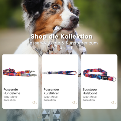 Australischer Shepherd mit gemustertem Fell hält eine passende Hundeleine im Maul. Über dem Bild steht der Text „Shop die Kollektion – passende Leine & Kurzführer zum Halsband“. Darunter werden drei Produkte der Wau-Move-Kollektion präsentiert: eine Hundeleine, ein Kurzführer und ein Zugstopp-Halsband in buntem floralem Muster.