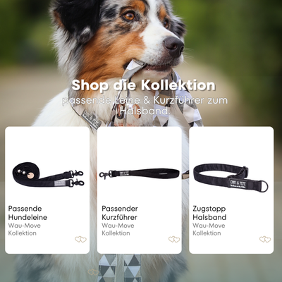 Australischer Shepherd mit gemustertem Fell hält eine passende Hundeleine im Maul. Über dem Bild steht der Text „Shop die Kollektion – passende Leine & Kurzführer zum Halsband“. Darunter werden drei Produkte der Wau-Move-Kollektion präsentiert: eine Hundeleine, ein Kurzführer und ein Zugstopp-Halsband in Schwarz.