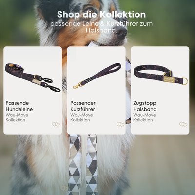 Passende Produkte der Wau-Move Kollektion Golden Plum mit Leine, Kurzführer und Zugstopp-Halsband