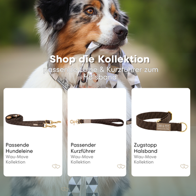 Australischer Shepherd mit gemustertem Fell hält eine passende Hundeleine im Maul. Über dem Bild steht der Text „Shop die Kollektion – passende Leine & Kurzführer zum Halsband“. Darunter werden drei Produkte der Wau-Move-Kollektion präsentiert: eine Hundeleine, ein Kurzführer und ein Zugstopp-Halsband in einem braunem Muster.