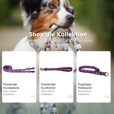 Australischer Shepherd mit gemustertem Fell hält eine passende Hundeleine im Maul. Über dem Bild steht der Text „Shop die Kollektion – passende Leine & Kurzführer zum Halsband“. Darunter werden drei Produkte der Wau-Move-Kollektion präsentiert: eine Hundeleine, ein Kurzführer und ein Zugstopp-Halsband in Leo Fuchsia.