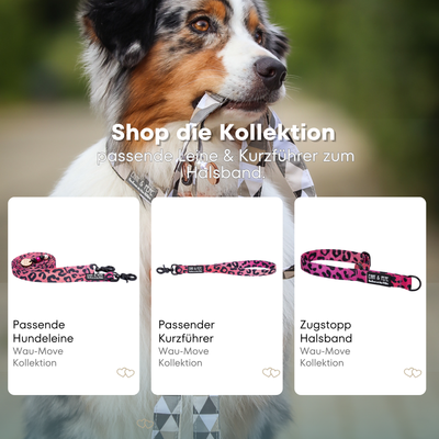 Australischer Shepherd mit gemustertem Fell hält eine passende Hundeleine im Maul. Über dem Bild steht der Text „Shop die Kollektion – passende Leine & Kurzführer zum Halsband“. Darunter werden drei Produkte der Wau-Move-Kollektion präsentiert: eine Hundeleine, ein Kurzführer und ein Zugstopp-Halsband in pinkem Leomuster.
