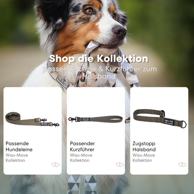 Australischer Shepherd mit gemustertem Fell hält eine passende Hundeleine im Maul. Über dem Bild steht der Text „Shop die Kollektion – passende Leine & Kurzführer zum Halsband“. Darunter werden drei Produkte der Wau-Move-Kollektion präsentiert: eine Hundeleine, ein Kurzführer und ein Zugstopp-Halsband in Olive.