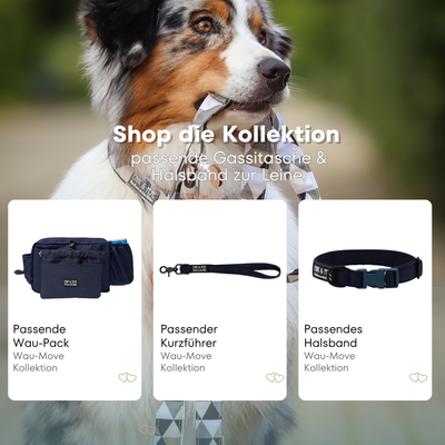 Australischer Shepherd mit gemustertem Fell hält eine passende Hundeleine im Maul. Über dem Bild steht der Text „Shop die Kollektion – passende Gassitasche & Halsband zur Leine“. Darunter werden drei Produkte der Wau-Move-Kollektion präsentiert: eine Wau-Pack, ein Kurzführer und ein Halsband in einem Dunkelblau.