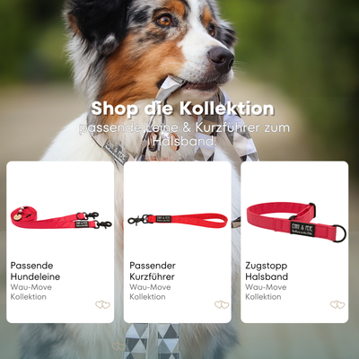 Australischer Shepherd mit gemustertem Fell hält eine passende Hundeleine im Maul. Über dem Bild steht der Text „Shop die Kollektion – passende Leine & Kurzführer zum Halsband“. Darunter werden drei Produkte der Wau-Move-Kollektion präsentiert: eine Hundeleine, ein Kurzführer und ein Zugstopp-Halsband in einem Neon Pink.