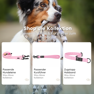 Australischer Shepherd mit gemustertem Fell hält eine passende Hundeleine im Maul. Über dem Bild steht der Text „Shop die Kollektion – passende Leine & Kurzführer zum Halsband“. Darunter werden drei Produkte der Wau-Move-Kollektion präsentiert: eine Hundeleine, ein Kurzführer und ein Zugstopp-Halsband in Rosa.