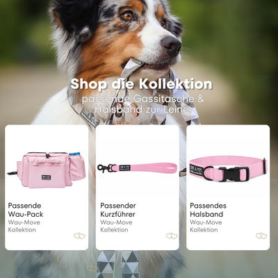 Wau-Move Wau-Pack, Passender Kurzführer Rosi und Passendes Halsband  Rosi in Rosa von EMMY & PEPE 