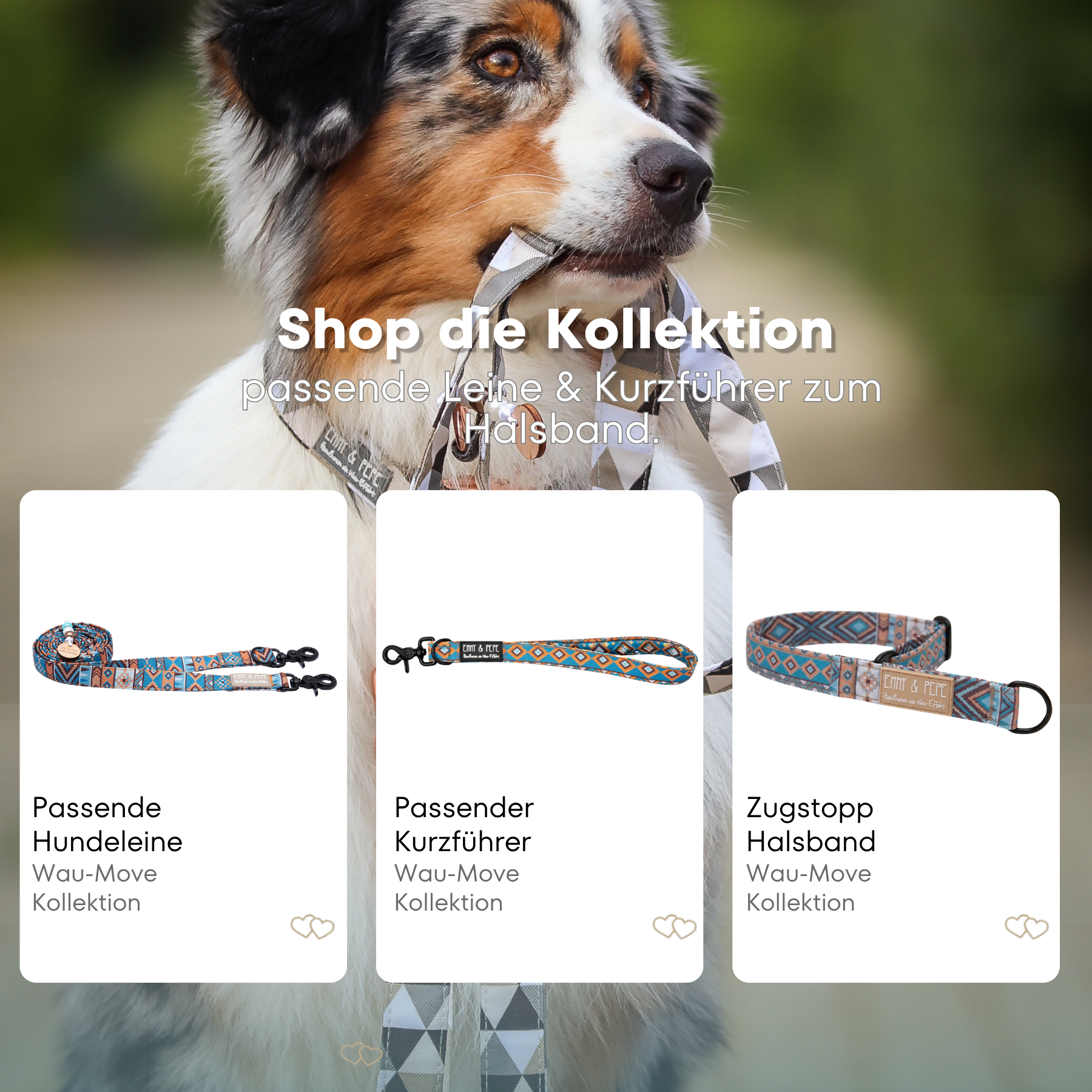 Australischer Shepherd mit gemustertem Fell hält eine passende Hundeleine im Maul. Über dem Bild steht der Text „Shop die Kollektion – passende Leine & Kurzführer zum Halsband“. Darunter werden drei Produkte der Wau-Move-Kollektion präsentiert: eine Hundeleine, ein Kurzführer und ein Zugstopp-Halsband in einem bunten Bohomuster.
