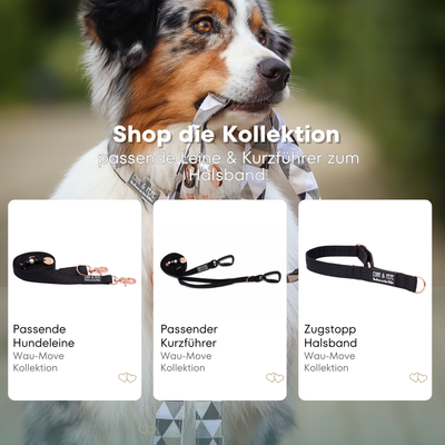 Australischer Shepherd mit gemustertem Fell hält eine passende Hundeleine im Maul. Über dem Bild steht der Text „Shop die Kollektion – passende Leine & Kurzführer zum Halsband“. Darunter werden drei Produkte der Wau-Move-Kollektion präsentiert: eine Hundeleine, ein Kurzführer und ein Zugstopp-Halsband in Schwarz.