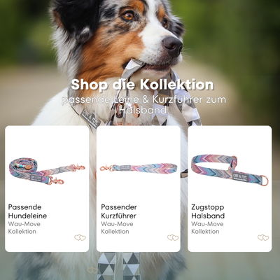 Australischer Shepherd mit gemustertem Fell hält eine passende Hundeleine im Maul. Über dem Bild steht der Text „Shop die Kollektion – passende Leine & Kurzführer zum Halsband“. Darunter werden drei Produkte der Wau-Move-Kollektion präsentiert: eine Hundeleine, ein Kurzführer und ein Zugstopp-Halsband in pastellfarbenem Zickzackmuster