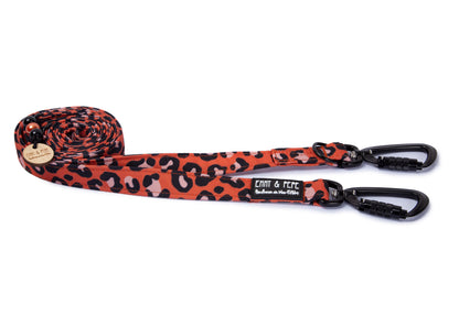 Hundeleine Leo Orange