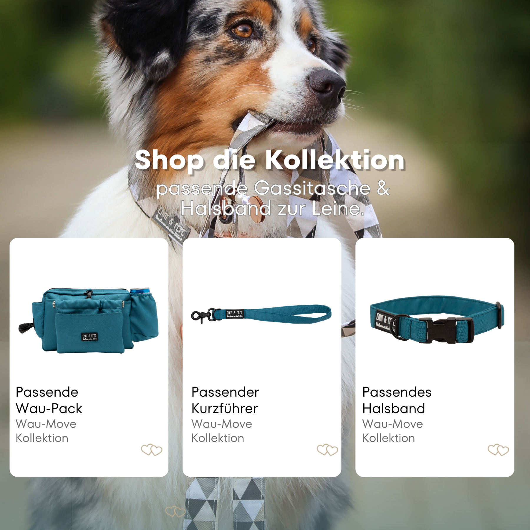 Australischer Shepherd mit gemustertem Fell hält eine passende Hundeleine im Maul. Über dem Bild steht der Text „Shop die Kollektion – passende Leine & Kurzführer zum Halsband“. Darunter werden drei Produkte der Wau-Move-Kollektion präsentiert: eine Gassitasche, ein Kurzführer und ein Halsband in einem kräftigem Blau.