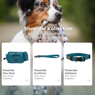 Australischer Shepherd mit gemustertem Fell hält eine passende Hundeleine im Maul. Über dem Bild steht der Text „Shop die Kollektion – passende Leine & Kurzführer zum Halsband“. Darunter werden drei Produkte der Wau-Move-Kollektion präsentiert: eine Gassitasche, ein Kurzführer und ein Halsband in einem kräftigem Blau.