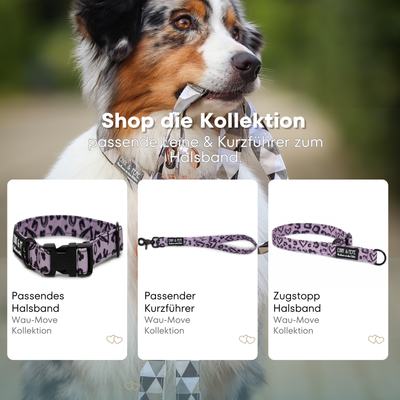 Hearth dog collar