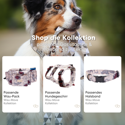 Australischer Shepherd mit gemustertem Fell hält eine passende Hundeleine im Maul. Über dem Bild steht der Text „Shop die Kollektion – passende Gassitasche & Halsband zur Leine“. Darunter werden drei Produkte der Wau-Move-Kollektion präsentiert: eine Wau-Pack, ein Hundegeschirr und ein Halsband in einem hellem Muster.