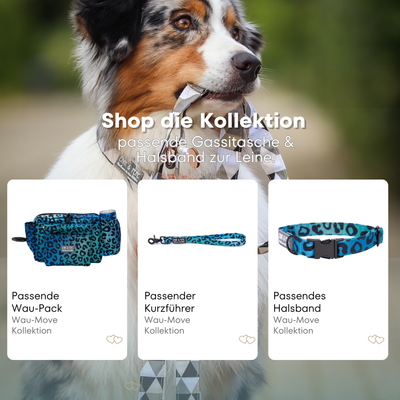 Australischer Shepherd mit gemustertem Fell hält eine passende Hundeleine im Maul. Über dem Bild steht der Text „Shop die Kollektion – passende Leine & Kurzführer zum Halsband“. Darunter werden drei Produkte der Wau-Move-Kollektion präsentiert: eine Gassitasche, ein Kurzführer und ein Halsband in einem kräftigem Blau im Leomuster.