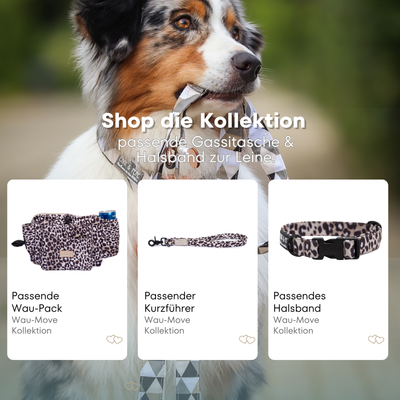 Australischer Shepherd mit gemustertem Fell hält eine passende Hundeleine im Maul. Über dem Bild steht der Text „Shop die Kollektion – passende Gassitasche & Halsband zur Leine“. Darunter werden drei Produkte der Wau-Move-Kollektion präsentiert: eine Gassitasche, ein Kurzführer und ein Halsband in dunklem Leo Muster.