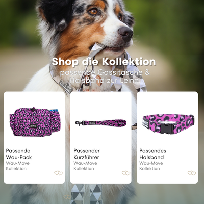 Australischer Shepherd mit gemustertem Fell hält eine passende Hundeleine im Maul. Über dem Bild steht der Text „Shop die Kollektion – passende Leine & Kurzführer zum Halsband“. Darunter werden drei Produkte der Wau-Move-Kollektion präsentiert: eine Gassitasche, ein Hundegeschirr und ein Halsband in einem kräftigem fuchsia Leomuster.