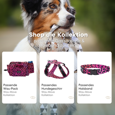Australischer Shepherd mit gemustertem Fell hält eine passende Hundeleine im Maul. Über dem Bild steht der Text „Shop die Kollektion – passende Leine & Kurzführer zum Halsband“. Darunter werden drei Produkte der Wau-Move-Kollektion präsentiert: eine Gassitasche, ein Hundegeschirr und ein Halsband in einem kräftigem pinkem Leomuster.